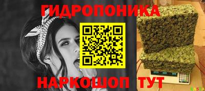 Альфа ПВП Кинель