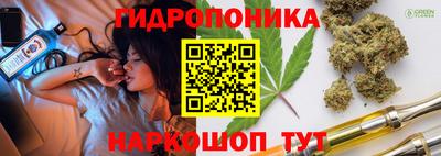 Альфа ПВП Кинель