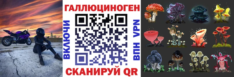 Псилоцибиновые грибы Cubensis  Санкт-Петербург 